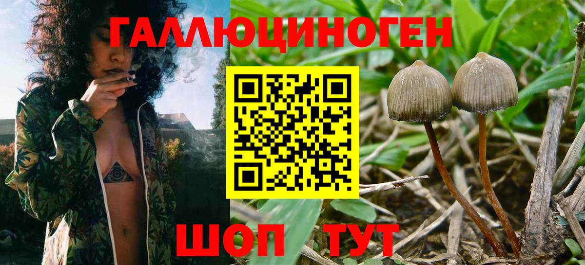Галлюциногенные грибы Magic Shrooms Джанкой