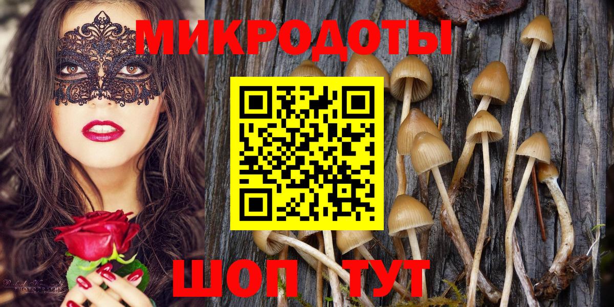 Псилоцибиновые грибы Psilocybine cubensis  Вход с VPN  Галлюциногенные грибы Psilocybe  Джанкой 